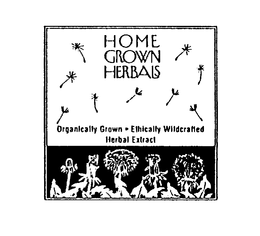 HOME GROWN HERBALS ORGANICALLY GROWN ETHICALLY WILDCRAFTED HERBAL EXTRACT trademark