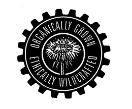 ORGANICALLY GROWN ETHICALLY WILDCRAFTED trademark