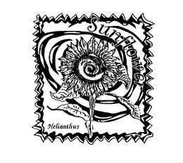 SUNFLOWER HELIANTHUS trademark