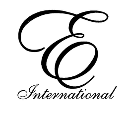 E INTERNATIONAL trademark