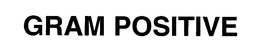 GRAM POSITIVE trademark
