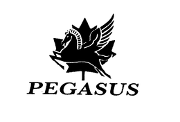 PEGASUS trademark