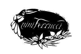 NINI FERRUCCI trademark