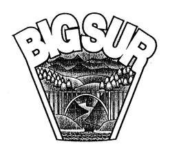 BIGSUR trademark