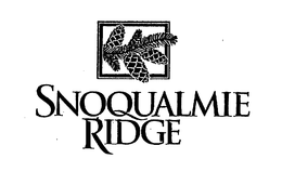 SNOQUALMIE RIDGE trademark