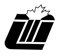 LTI trademark