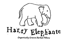 HARRY ELEPHANTE ORGANICALLY GROWN HERBAL PILLOW trademark
