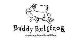 BUDDY BULLFROG ORGANICALLY GROWN HERBAL PILLOW trademark
