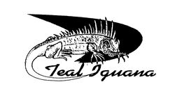 TEAL IGUANA trademark