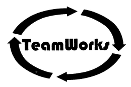 TEAMWORKS trademark