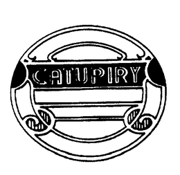 CATUPIRY trademark