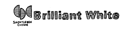 BRILLIANT WHITE SACHTLEBEN CHEMIE trademark