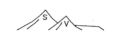 S V trademark
