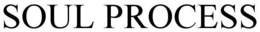 SOUL PROCESS trademark