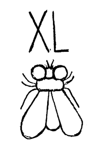 XL trademark