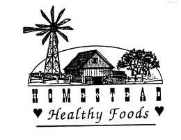 HOMESTEAD HEALTHY FOODS trademark