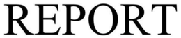 REPORT trademark