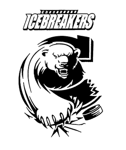 CHESAPEAKE ICEBREAKERS trademark