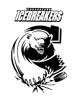 CHESAPEAKE ICEBREAKERS trademark