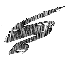S trademark