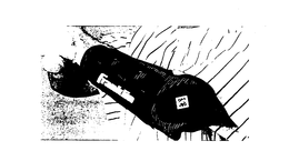 FRANKLIN trademark