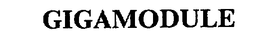 GIGAMODULE trademark