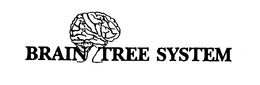 BRAIN TREE SYSTEM trademark