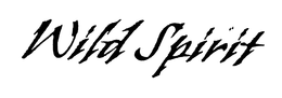 WILD SPIRIT trademark