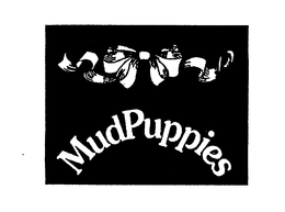 MUDPUPPIES trademark
