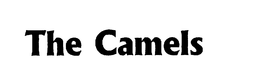 THE CAMELS trademark