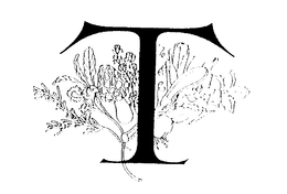 T trademark