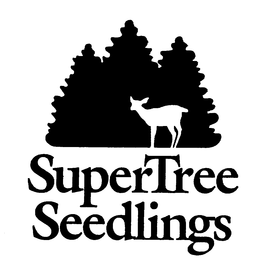 SUPERTREE SEEDLINGS trademark