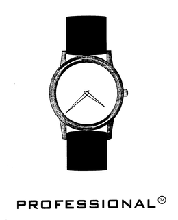 PROFESSIONAL trademark