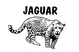 JAGUAR trademark