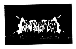 VINYLYZED trademark