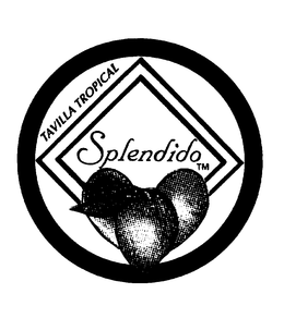 SPLENDIDO TAVILLA TROPICAL trademark