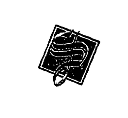 S trademark