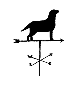 W N S E trademark