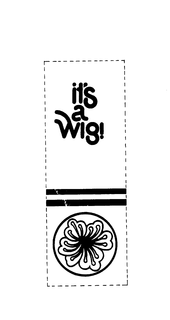 IT'S A WIG! trademark