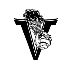 V trademark