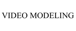 VIDEO MODELING trademark