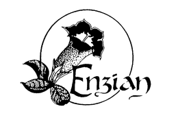 ENZIAN trademark