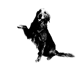 LogoMark trademark