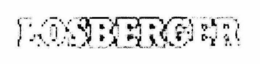LOSBERGER trademark