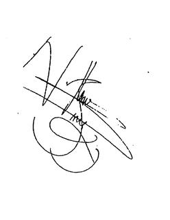 PRINCE NASEEM trademark