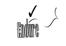 ENDURE ENDURE 85 TWO-PLY SHEETS trademark
