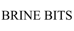 BRINE BITS trademark