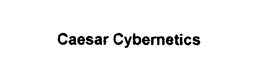 CAESAR CYBERNETICS trademark