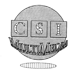 CSI MULTIMEDIA trademark