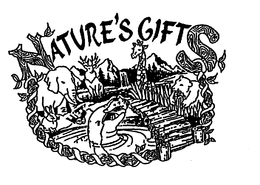 NATURE'S GIFTS trademark